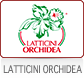 LATTICINI ORCHIDEA